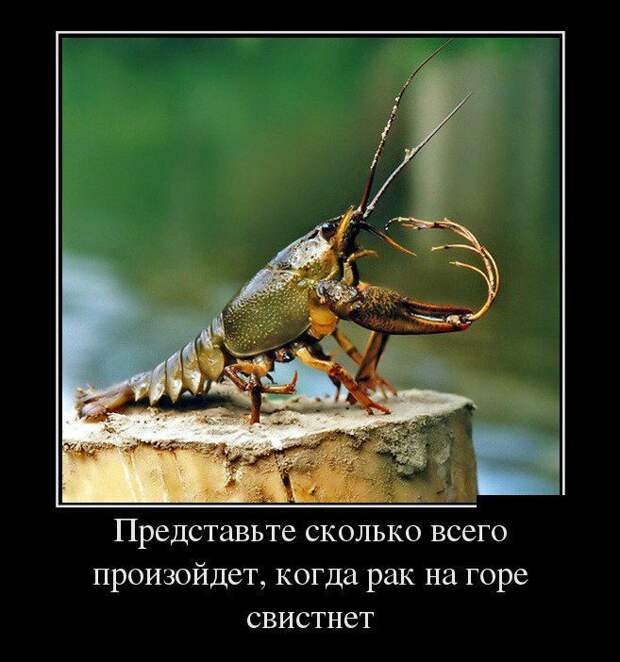 Сборник демотивационных приколов Сборник демотивационных приколов