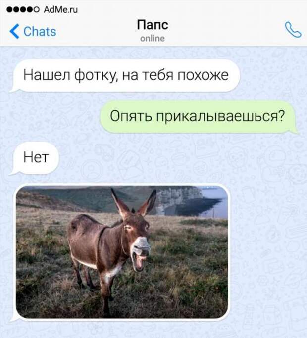 19 СМС-переписок, которые доказывают, что папы — это люди с пикантным чувством юмора