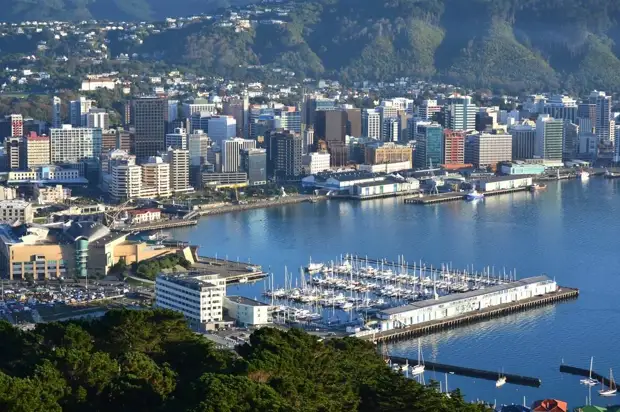 «Это геноцид»: в Госдуме прокомментировали  волну травли россиян за рубежом