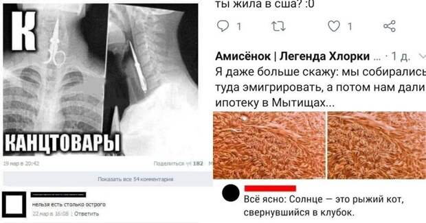 20+ интересных комментариев и диалогов из соцсетей для хорошего настроения