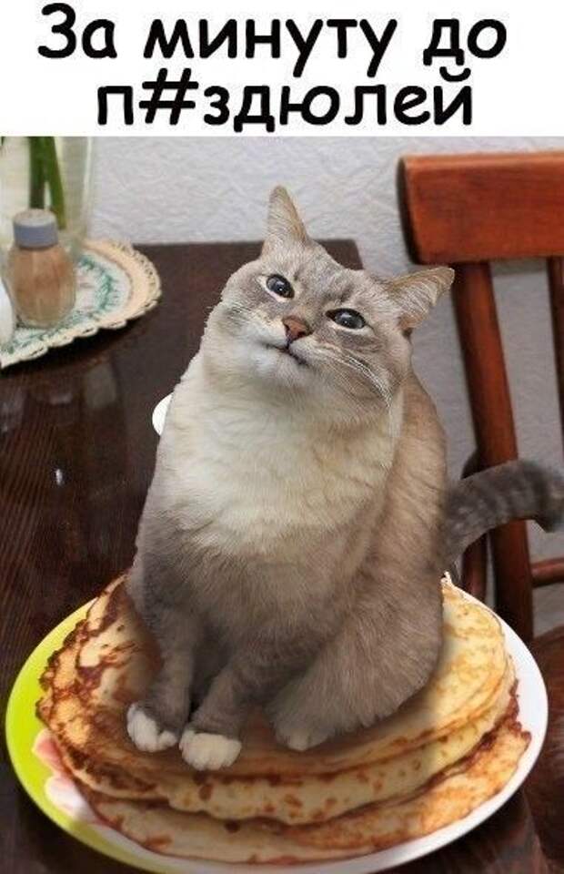 Подборка лучших прикольных картинок