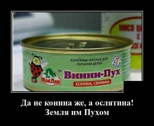 demotivatory-demotivator-smeshnye-demotivatory-demotivator-so-smyslom