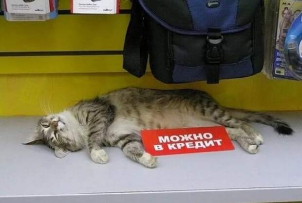 Смешные объявления, приколы в рекламе
