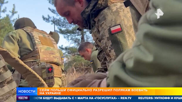 Сейм Польши официально разрешил наемникам воевать на Украине