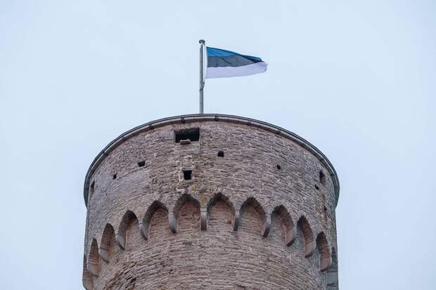 В посольстве России высказались о переговорах с Эстонией по границе