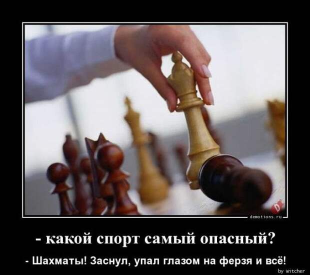 1589439983_demki-23.jpg
