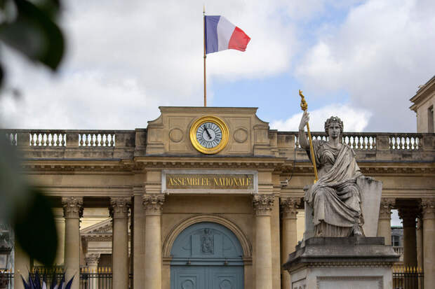 Пьер де Голль заявил, что Франция должна вступить в БРИКС