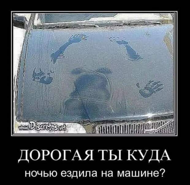 Прикольные демотиваторы с надписями. Подборка chert-poberi-dem-chert-poberi-dem-53330907112020-15 картинка chert-poberi-dem-53330907112020-15