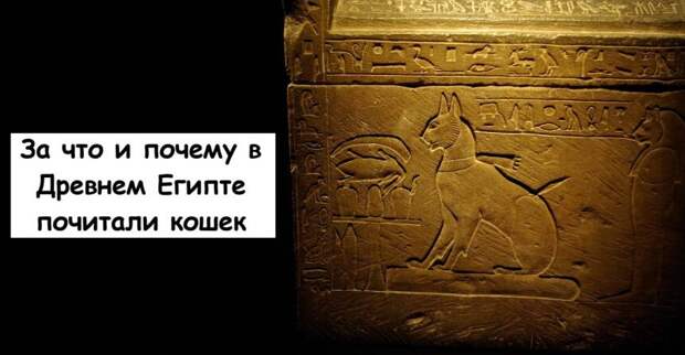 За что и почему в Древнем Египте почитали кошек