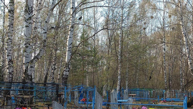 Упал крест на могиле: священник объяснил, как поступить правильно