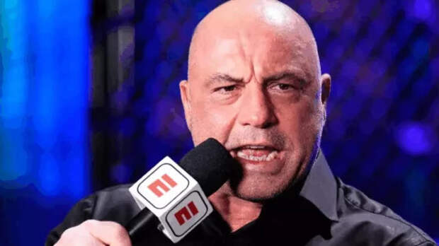 Джо Роган назвал сильнейшего нокаутера в истории UFC