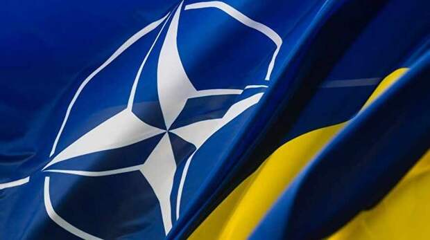 Для Украины статус «НАТО-плюс» - на самом деле «НАТО-минус»