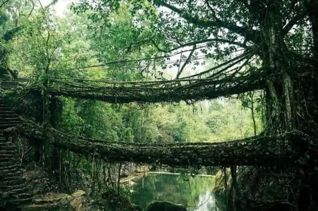 Сказочно красивые мосты из реальной жизни (21 фото)