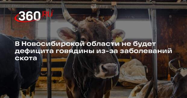 В Новосибирской области не будет дефицита говядины из-за заболеваний скота