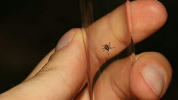 Фото: Marino Linic / unsplash.com