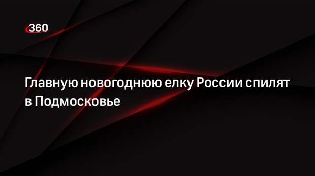 ТАСС: елку для Кремля спилят в Волоколамском городском округе Подмосковья