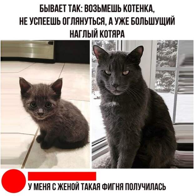 Такая фигня Такая фигня