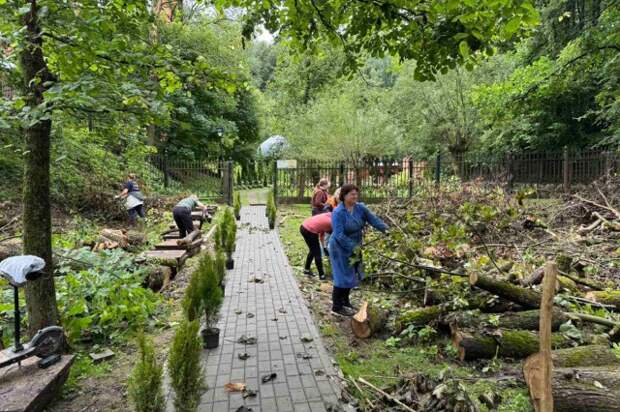 На Могилевщине 9 гражданских инициатив получили финподдержку областной ассоциации местных Советов депутатов.