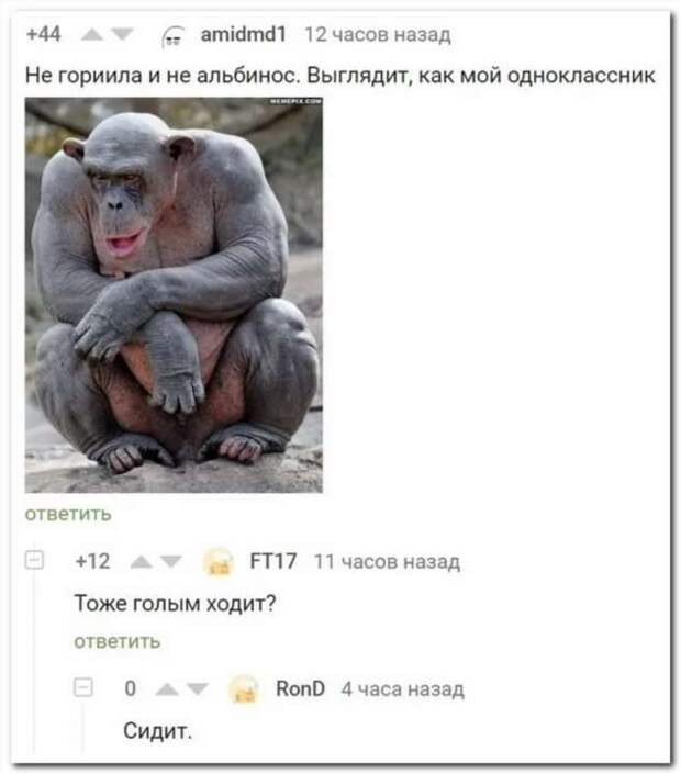 Смешные комментарии. Подборка chert-poberi-kom-chert-poberi-kom-59560217102020-8 картинка chert-poberi-kom-59560217102020-8