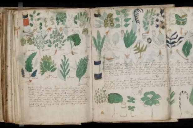 Ученые нашли тайный шифр, который поможет раскрыть древнюю рукопись Войнича