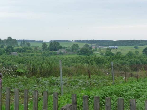 clip_image026