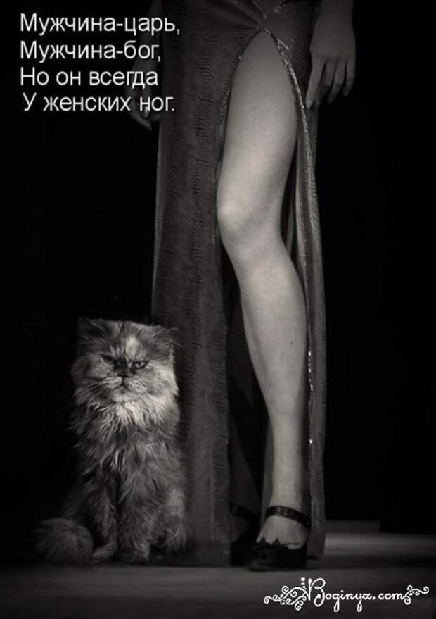 Приколы про ленку