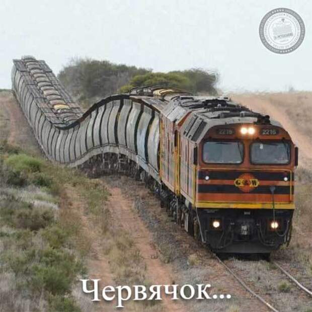Червячок