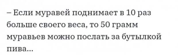 Юмор на любителя Юмор на любителя