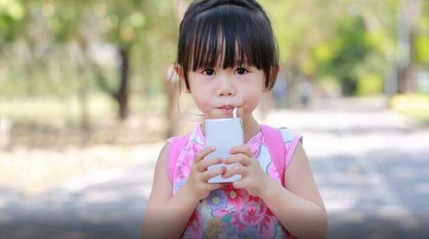 Как приучить детей к здоровой еде: 20 советов японских мам