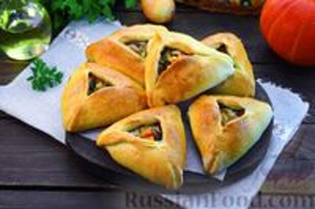 Фото к рецепту: Дрожжевые пирожки с тыквой, курицей и грибами (в духовке)
