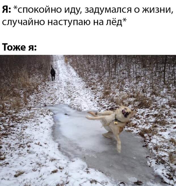 www.vsyako.net