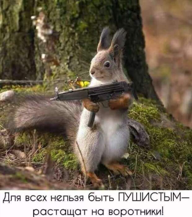 Прикольные демотиваторы с надписями. Подборка chert-poberi-dem-chert-poberi-dem-23340324052020-17 картинка chert-poberi-dem-23340324052020-17