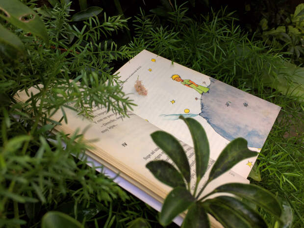 Глава «Газпром-медиа» назвал обязательную к прочтению книгу