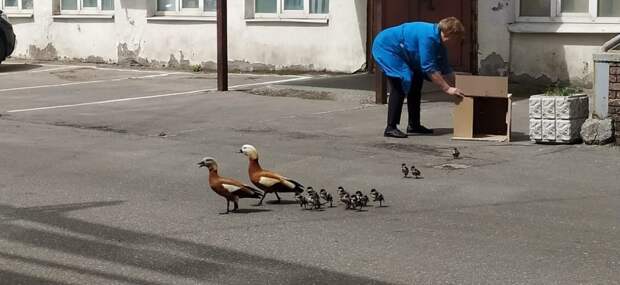 Фото предоставлено ОПСО «СпасРезерв»