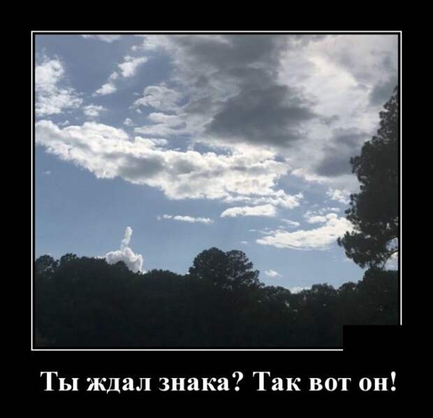 www.vsyako.net