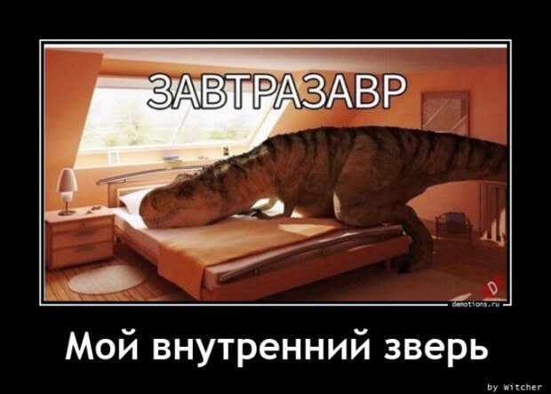 Демотиваторы дня