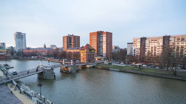 В Калининградской области рассказали о мерах поддержки многодетных семей