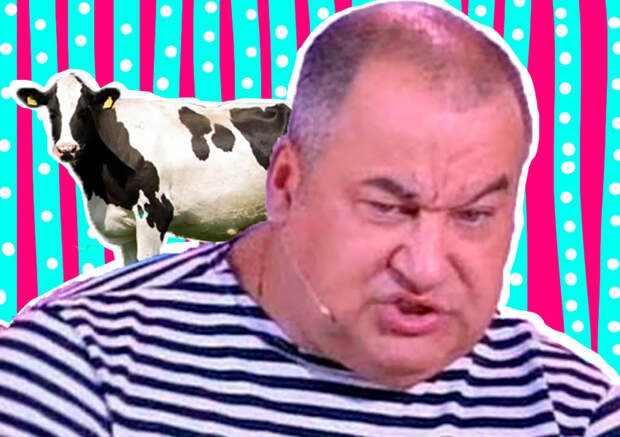 Анекдот дня от Маменко: про коров и секс