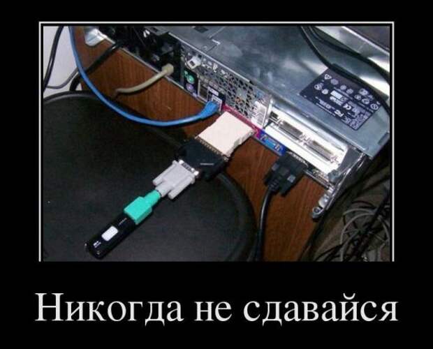Демотиваторы " 101 %" 17/04/12