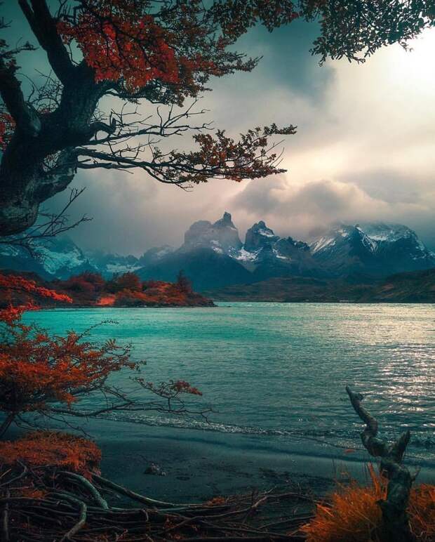 Torres del Paine, Chile красивые места, мир, планета, природа, путешествия