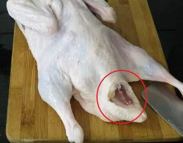 Что нужно удалить у утки, чтобы блюдо не приобрело специфический запах: кулинарный секрет