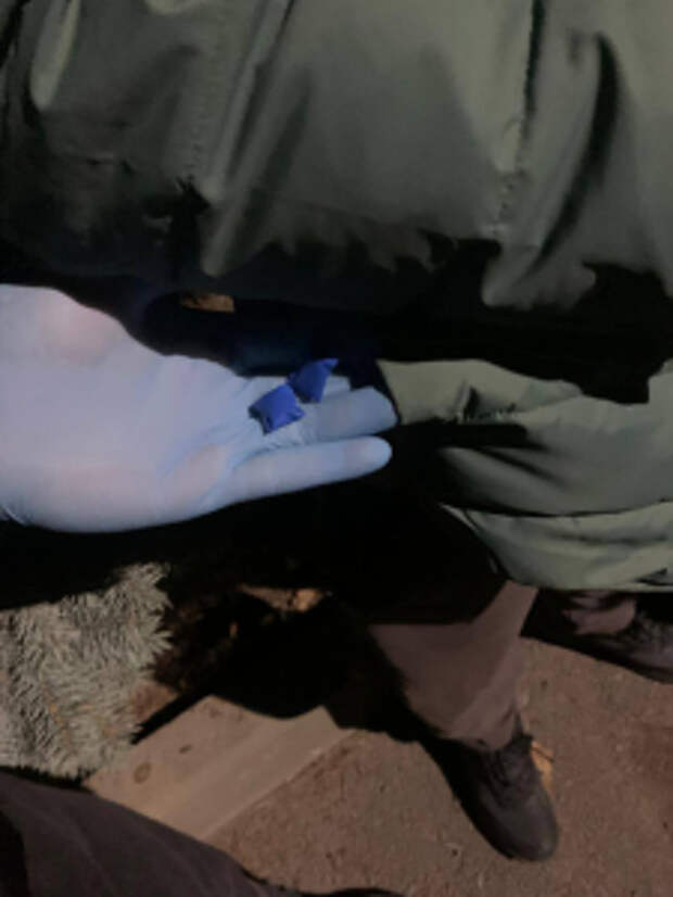 В Северной Осетии полицейскими Управления по контролю за оборотом наркотиков пресечена попытка сбыта наркотиков в крупном размере