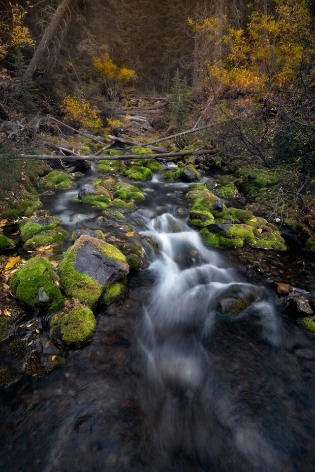 Красота природы на фотографиях