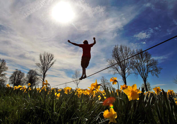 Весна за окном Весна за окном