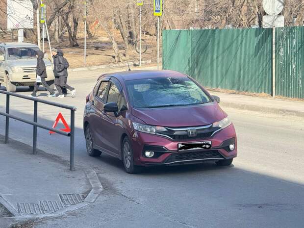 Пенсионера «прокатили» на капоте авто в День защитника Отечества