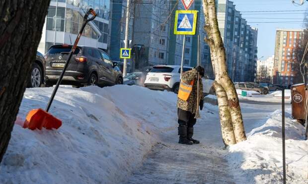 Архангелогородцы снова спорят о собачьих «минах» во дворах