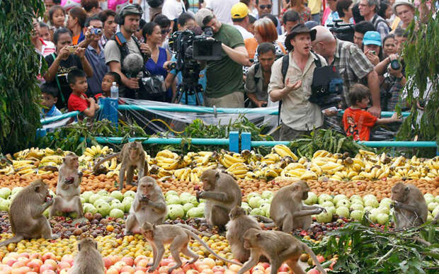 unique-festivals-around-the-world-monkey-buffet-festival-thailand-2