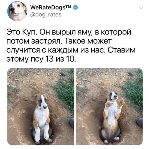 Подборка картинок (20 фото)