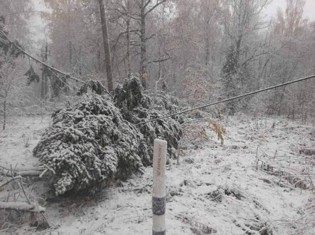 Энергетики ликвидируют последствия майского снегопада в Нижегородской области