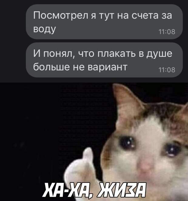 Скрины из социальных сетей